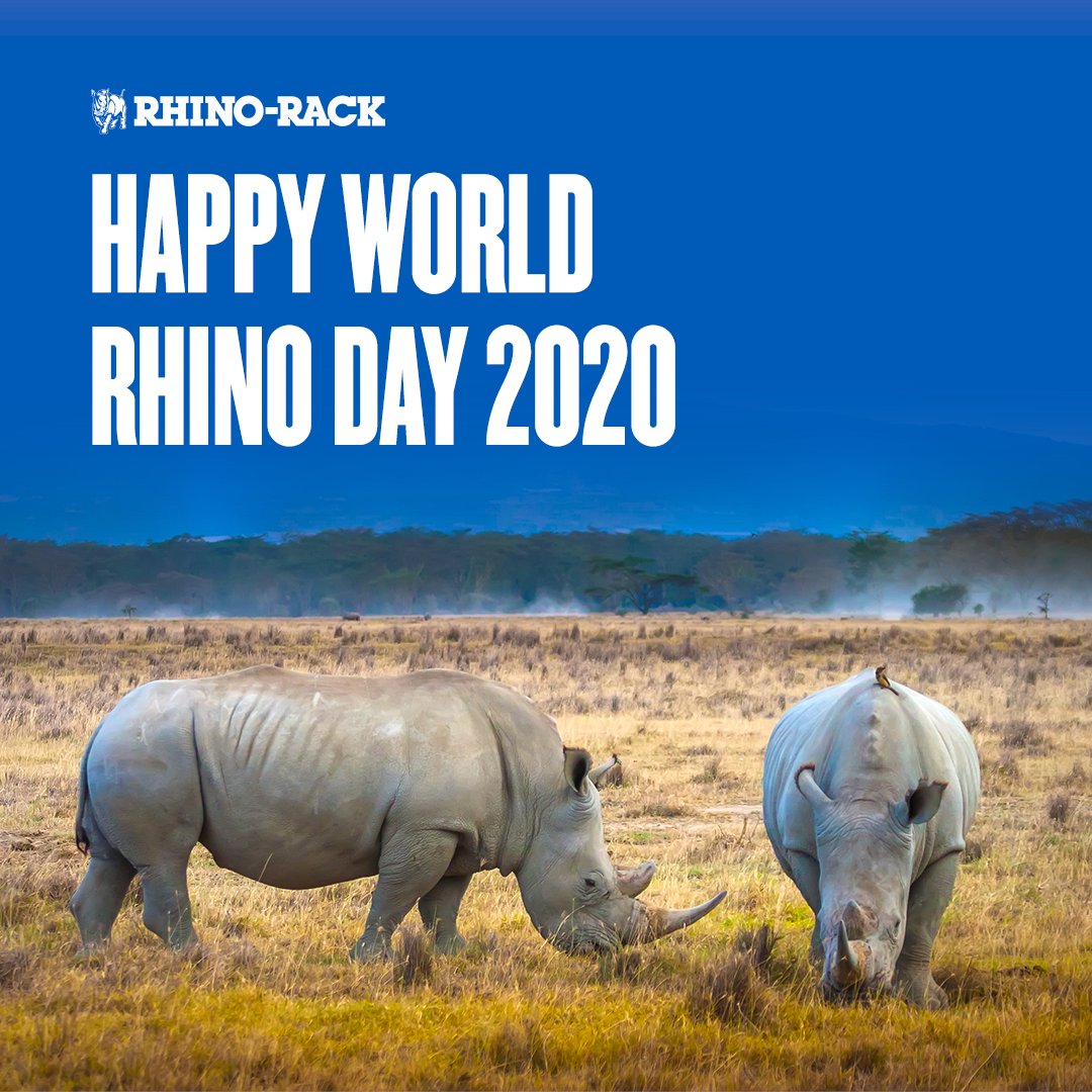 Rhino-Rack are proud to work with Imire Rhino &amp; Wildlife Conservation! 🦏 Find out more: hubs.la/H0wF-3l0
.
.
#HappyWorldRhinoDay #worldrhinoday2020 #rhinorack