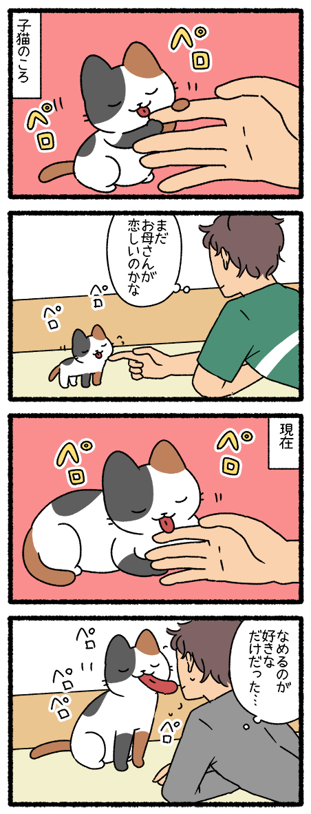 ねこようかい なめおんな・すなかけばばあ
#ねこようかい 