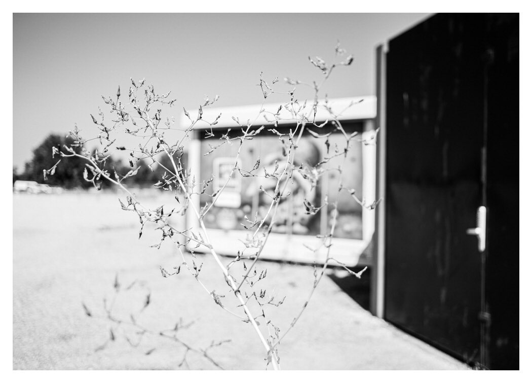 celinetroffigue's tweet photo. #nantes #LoireAtlantique #Transfert  #urban #deambulation #monochrome #blackandwhite #bnwphotography #bnw_captures #fineart https://t.co/cTrPcZDPAx