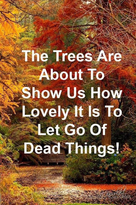 _LadyT1111_'s tweet photo. #AutumnEquinox #Autumn2020
#Autumn
#HelloAutumn #HappyAutumn #ILoveAutumn #AutumnIsBeautiful #AutumnColours #AutumnLeaves 
#LibraSeason 
🍂🥮🎑🍁🍂 https://t.co/9me9woYOSr