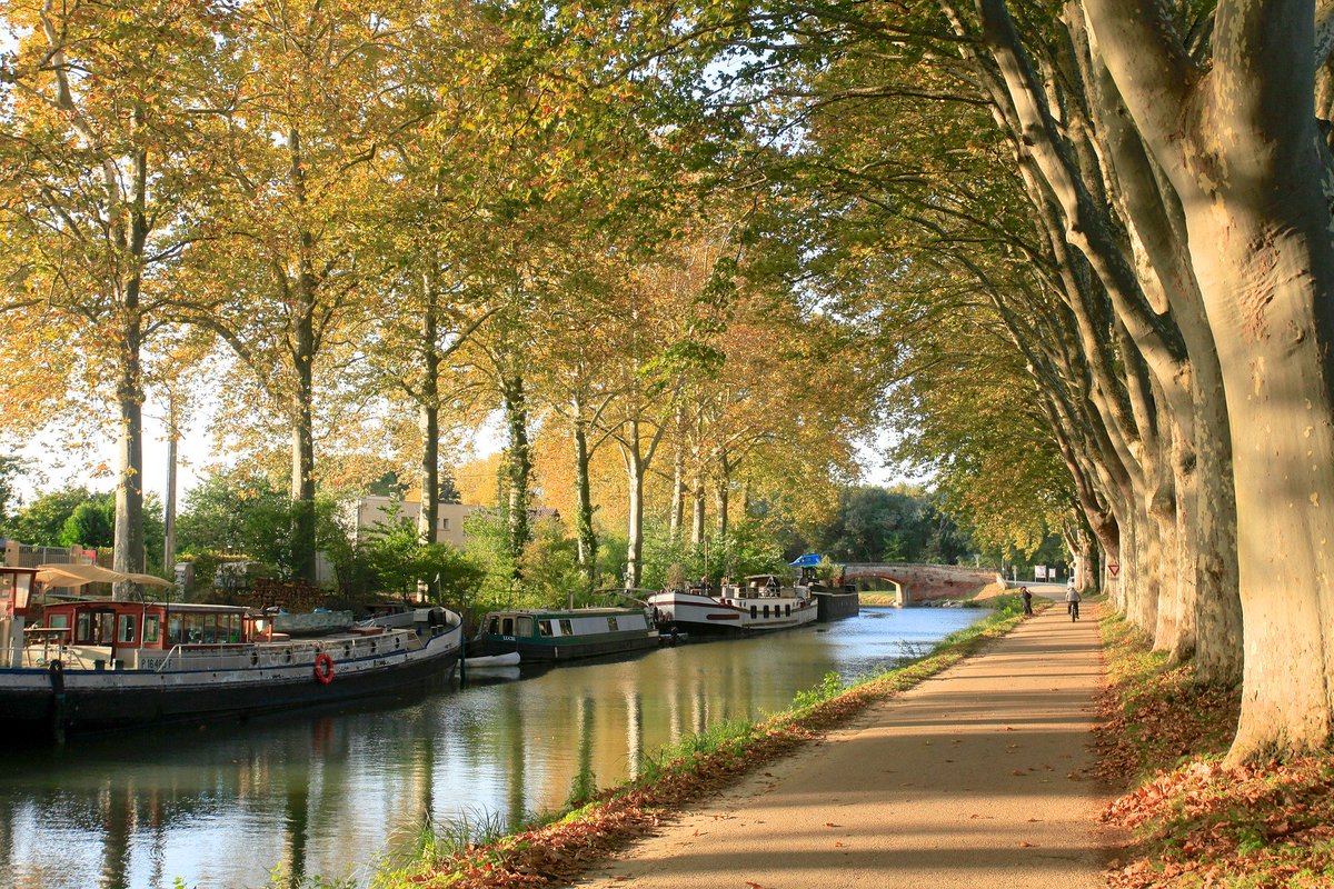 #Canaldumidi #Toulouse  #Autumn #France