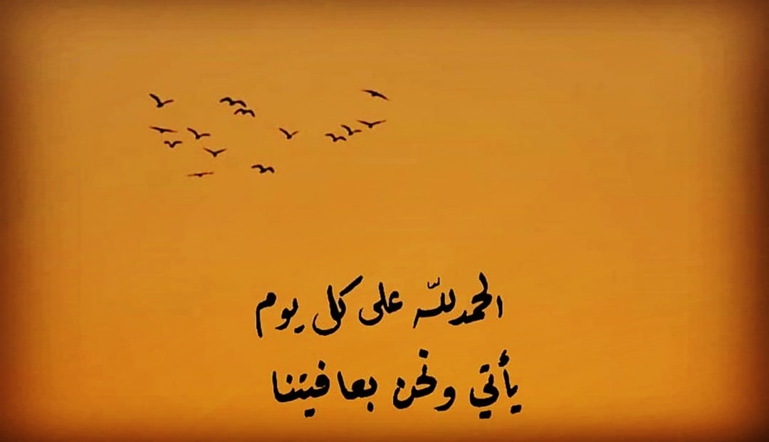 IBbakr's tweet photo. الحمدالله على ما نحن فيه https://t.co/azdbYHile9