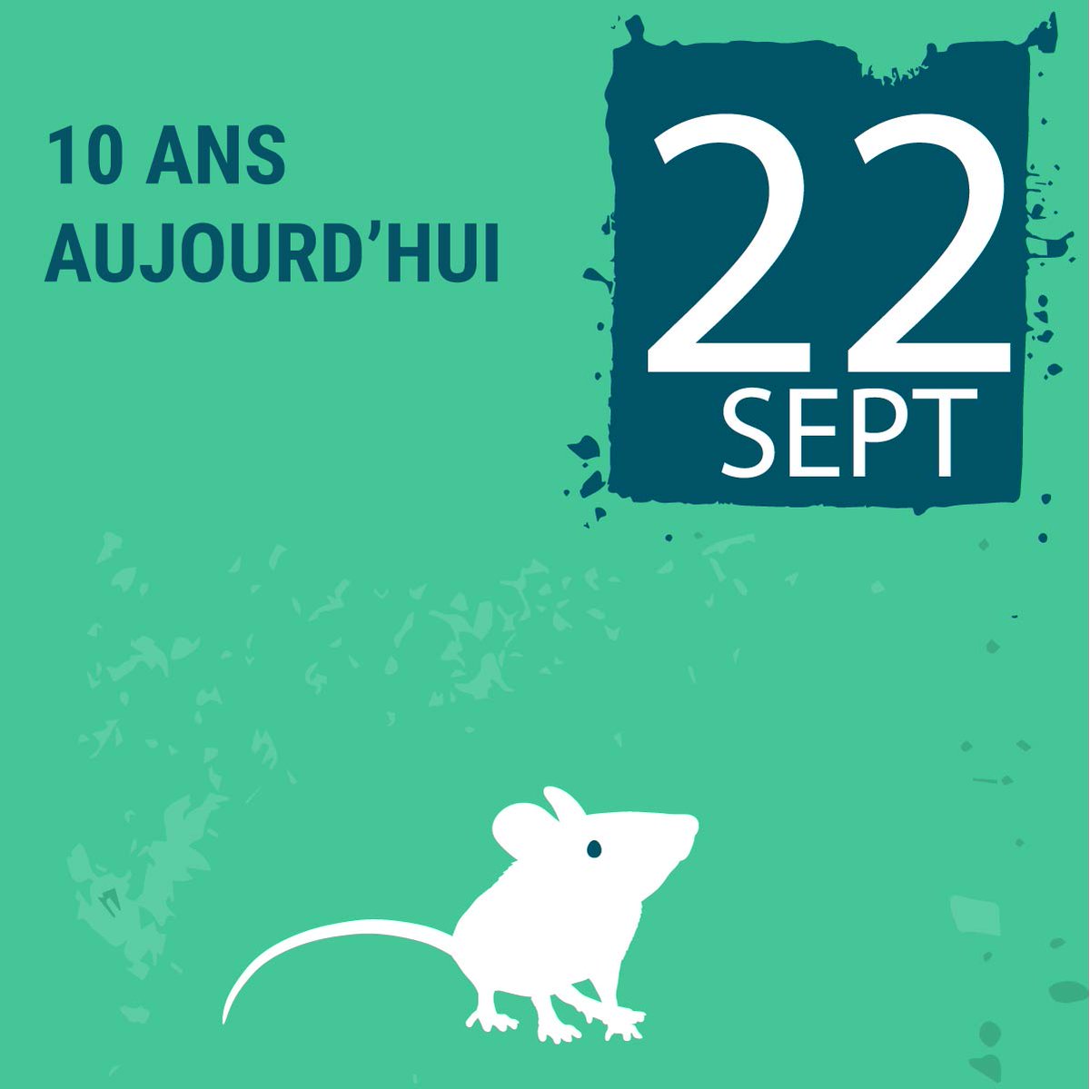 fondationLFDA's tweet image. 🎂Depuis 10 ans, la directive européenne 10/63/UE encadre l&apos;utilisation d&apos;animaux dans les laboratoires et vise à minimiser leurs souffrances. 
#Act4LabAnimals #EuropeanDayForHumaneScience