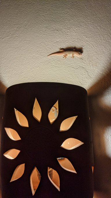 Adi&oacute;s M&eacute;xico 🤍 gracias https://t.co/euxtgxy0Gu