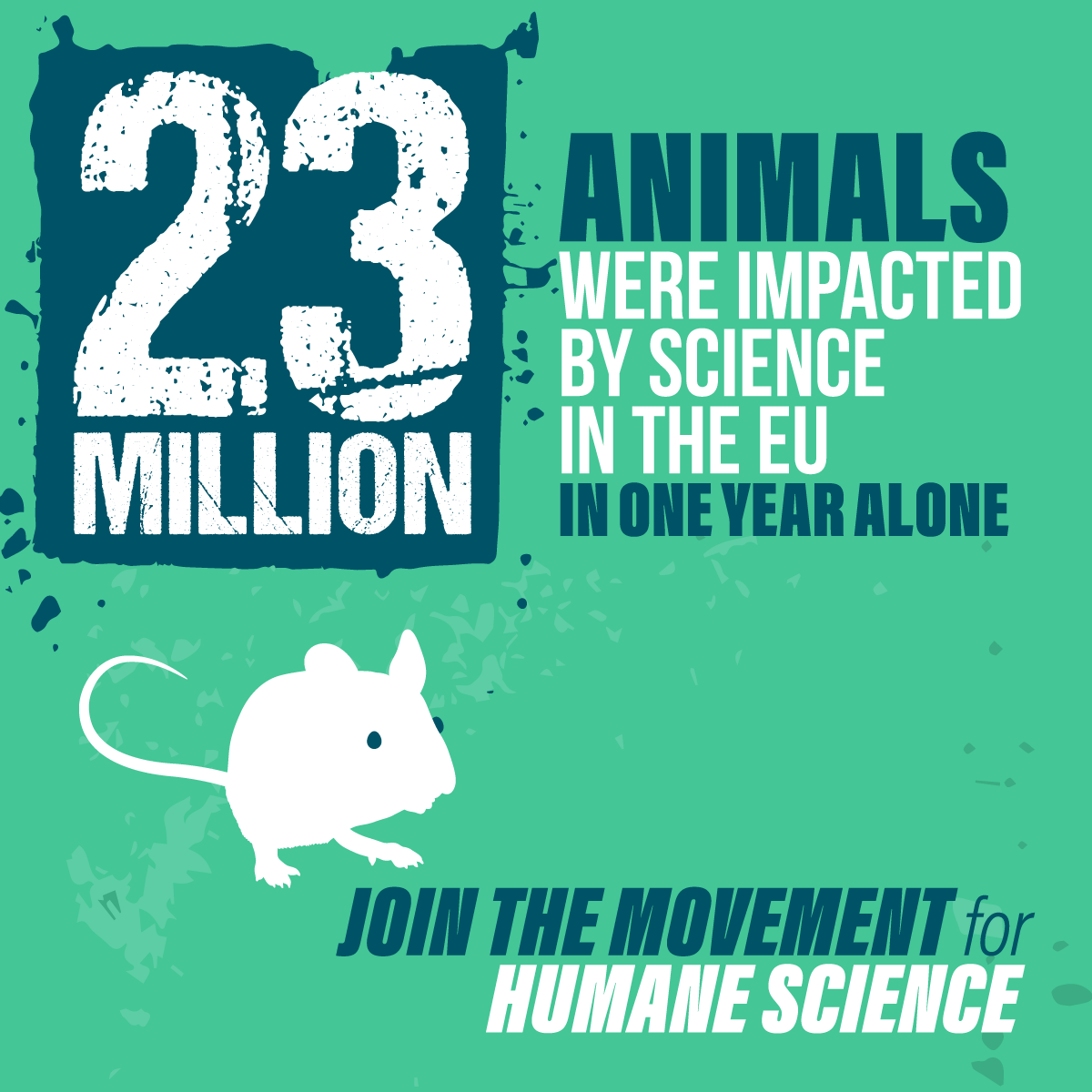 Dierbescherming's tweet image. #wistjedat er in de EU 23 miljoen dieren gebruikt worden voor #dierproeven en onderzoek, per jaar?! We roepen lidstaten op om meer te investeren in alternatieve methoden. Meer info: bit.ly/3mhLJOF (Engelstalig) @anjahazekamp 
#EuropeanDayforHumaneScience #Act4LabAnimals