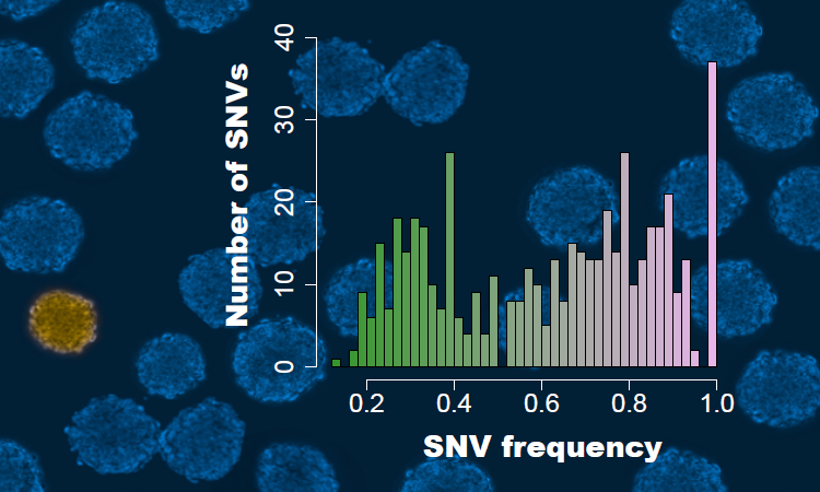 alexmkuhn's tweet photo. A new approach for monoclonality can simplify cell line development protocols while ensuring clonal derivation with high confidence (>99%). The “genomic test of clonality” assesses clonal derivation from the cells’ DNA.
@selexisSA @unil @hessovalais 
https://t.co/S6rt1oo3Wm https://t.co/QwQ2WpLkJT