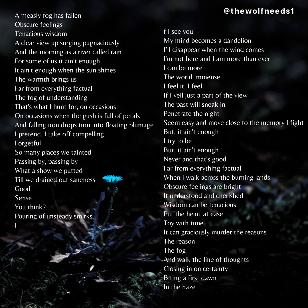 Thewolfneeds1's tweet photo. #poetry #Writer #TallVerse #amwriting #writer #amwriting #Poetry_Planet #indieauthors #Dark #feeling #love #poetryisnotdead #poetweet #poetrycorner #poetrybooks  #poetrylovers #art #artist #POEMS  #poetrywriter #love #poem #poetrycommunity #writing #art https://t.co/m0fizt6Yqc