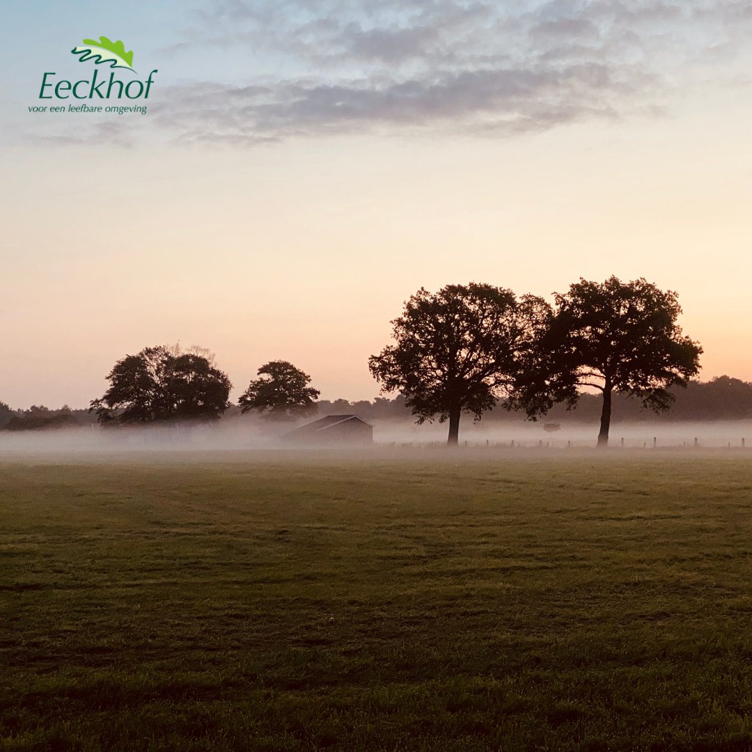 eeckhof's tweet photo. Wat is Twente toch prachtig. Onderweg moet je soms gewoon even stoppen om te genieten! Fijne dag!  #twente #sunrise #mist #goedemorgen #wow https://t.co/reXzlIXZ7x