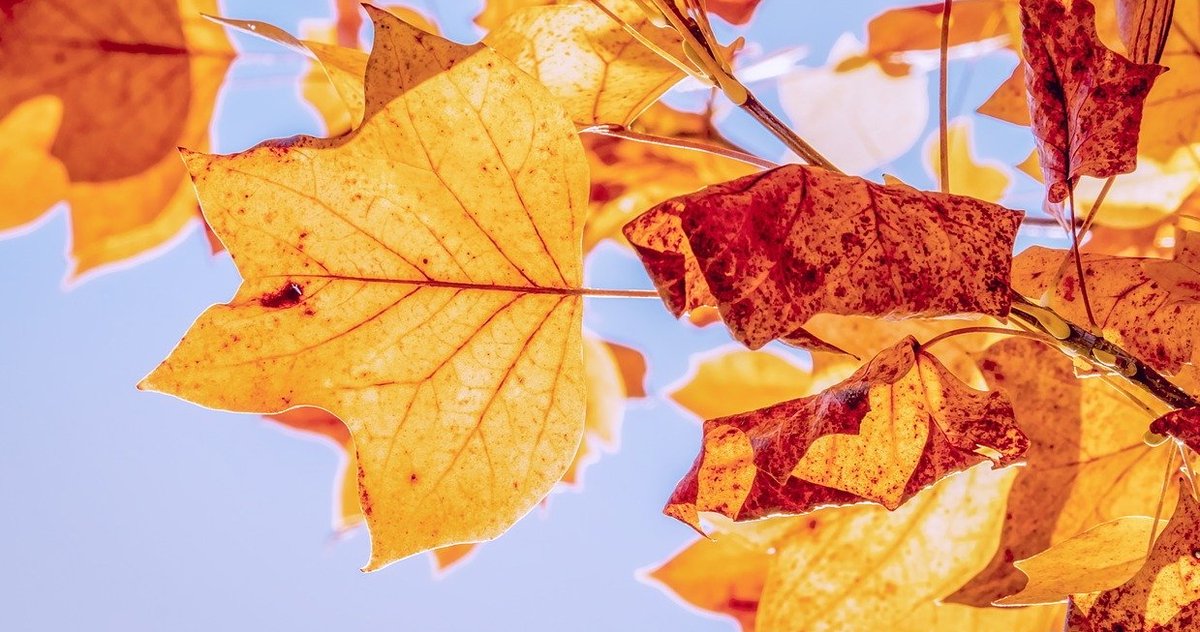 m_solutions_fi's tweet image. Vuodenaikojen taitekohdassa. Aurinkoista tiistaita! #syyspäiväntasaus