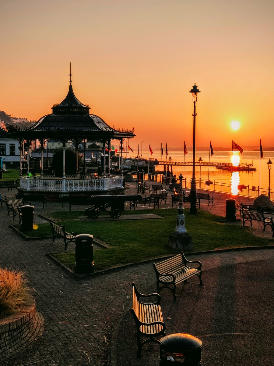 The Irish Telegraph tweet media