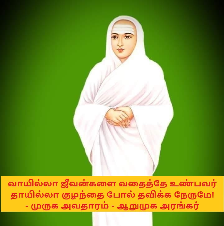 MurugaYugam's tweet photo. வாயில்லா ஜீவன்களை வதைத்தே உண்பவர் 
தாயில்லா குழந்தை போல் தவிக்க நேருமே 
- முருக அவதாரம் - ஆறுமுக அரங்கர்    https://t.co/wRKJhcYJY9 https://t.co/DdjnSPnuOj