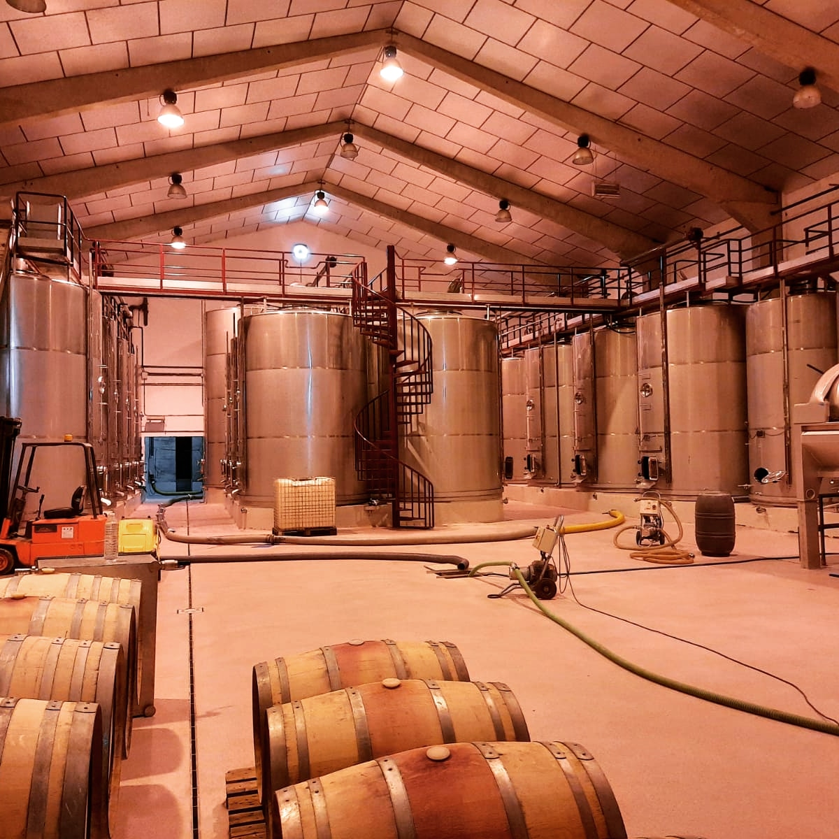 Ready! Instalación relimpia y espectante. Lo que teníamos que hacer en el campo, ya está hecho. Ahora le toca a la enología.