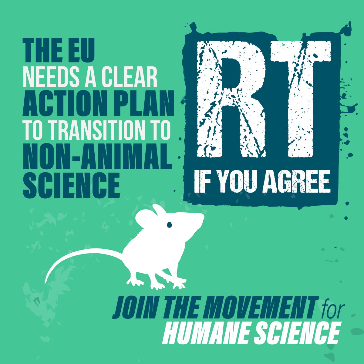 carolcummins4's tweet image. 10 years ago today the EU lab animal protection law was adopted. Yet millions of animals continue to suffer every year. RT if you agree the #EU needs a clear action plan to transition to #NonAnimalScience. 
#EuropeanDayForHumaneScience #Act4LabAnimals