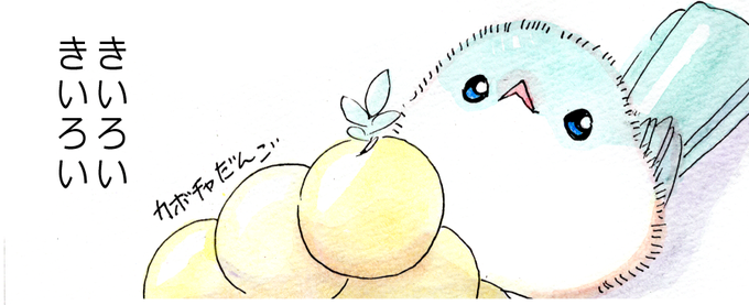 きいろい しろい?
#みどりのマメちゃん 