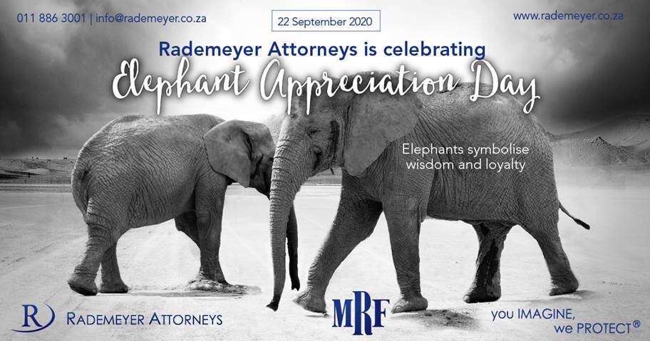 RademeyerLaw's tweet photo. 🐘Elephant Appreciation Day🐘 The South African coat of arms  include elephant tusks to represent wisdom, strength, moderation and eternity #youimagineweprotect #rademeyerattorneys #ra #mrf #intellectualproperty #ip #ipattorneys #iplawyers #law #elephantappreciationday #2020 https://t.co/lshA1joc69