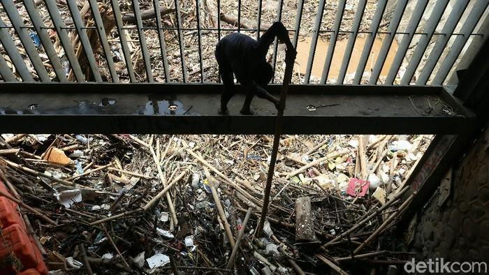 #Foto Sampah yang didominasi batang kayu dan bambu, menumpuk di Pintu Air Manggarai, Jakarta, Selasa (22/09/2020). Sampah ini terbawa arus saat hujan deras kemarin. Berikut penampakannya: #Sampah
Foto: Rengga Sancaya/detikcom https://t.co/RkKZ4cI86j