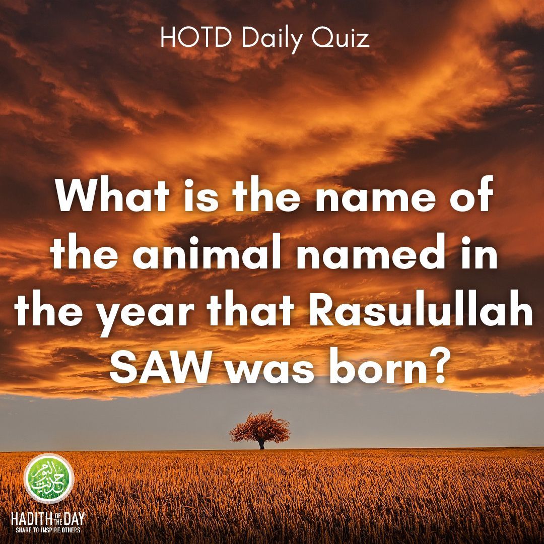 Quiz Time!