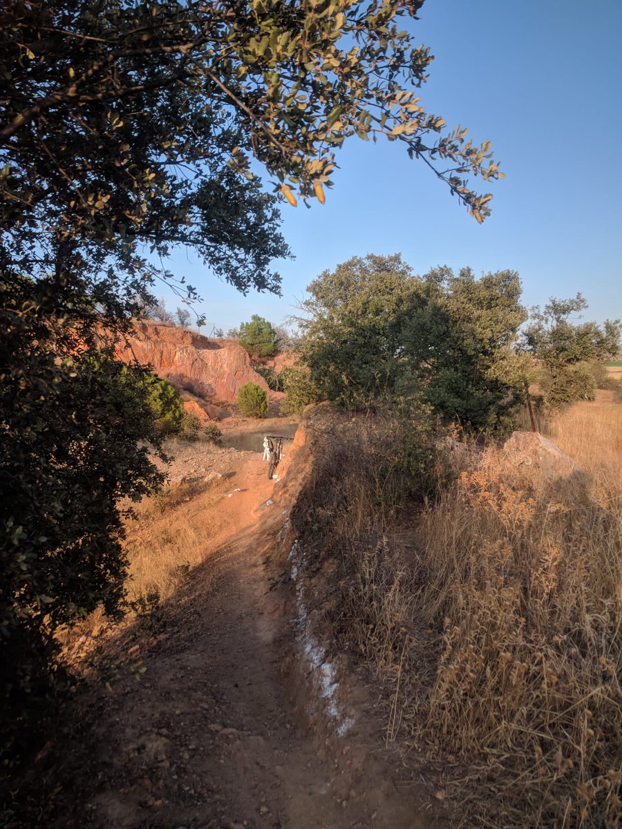 Concejalía de Deporte Montijo tweet media