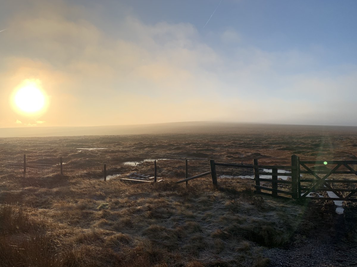 A beautiful #sunrise for our team replacing #fencing on the #moors.

Find out more about our moorland experience and the services we can offer here; wildscapes.co.uk/land-management

#moorland #conservation #boundarywork #landscape #landmanagement