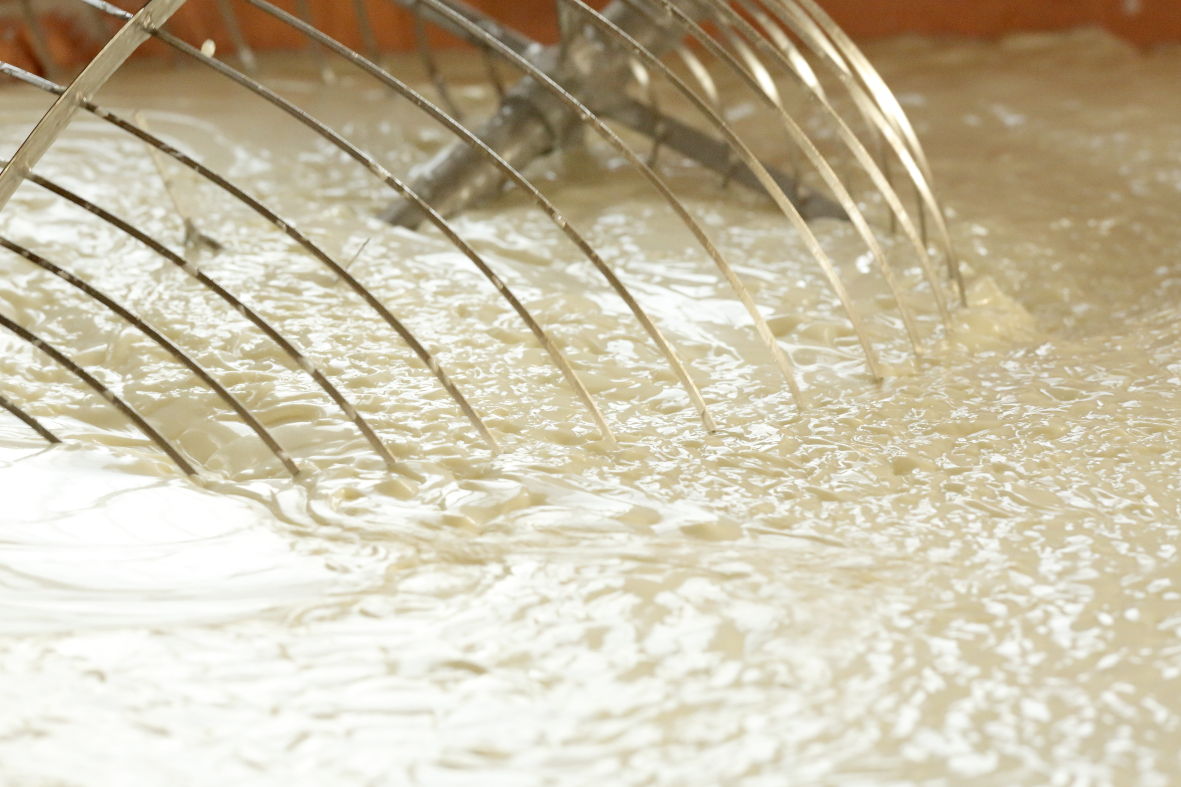 L'arte della produzione si ripete tutti i giorni: anche stamattina!

Volete scoprirla? 👉 bit.ly/PRproduzione

#ParmigianoReggiano