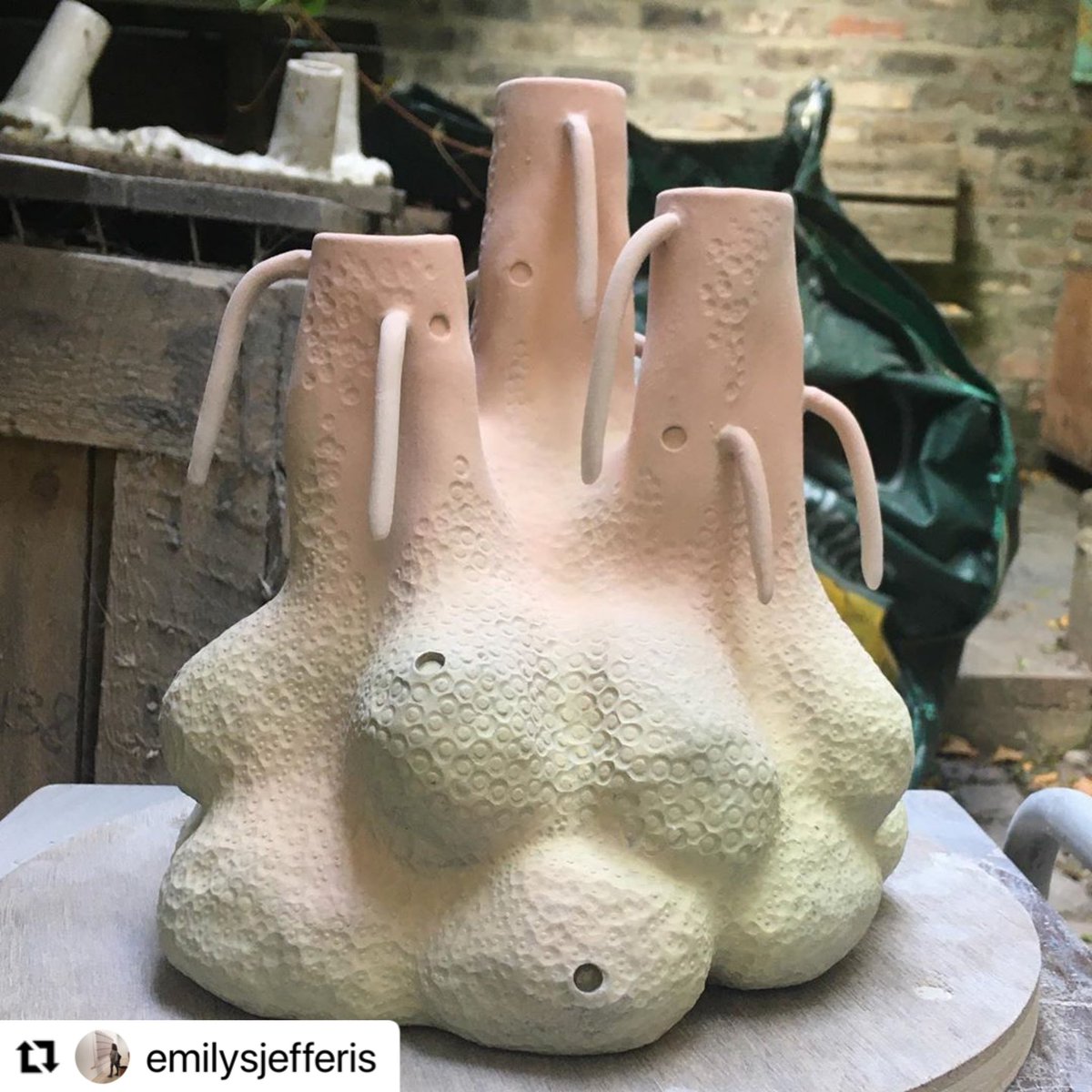 Our next studio talk with member Emily Jefferis is tonight at 7-8pm. Dm for the link!