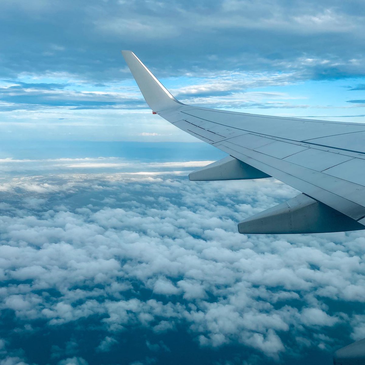 ironbarkmarket's tweet photo. We’re up, up and away — bound for Mackay, Queensland!
#IronbarkMarketing #TeamIBM #BusinessTrip https://t.co/jpGVOKg0v1