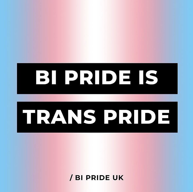 Bi Pride UK on Twitter: "Bi Pride UK stands #TogetherWithTrans, today ...