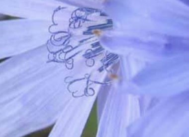 Thomas Bigum tweet media