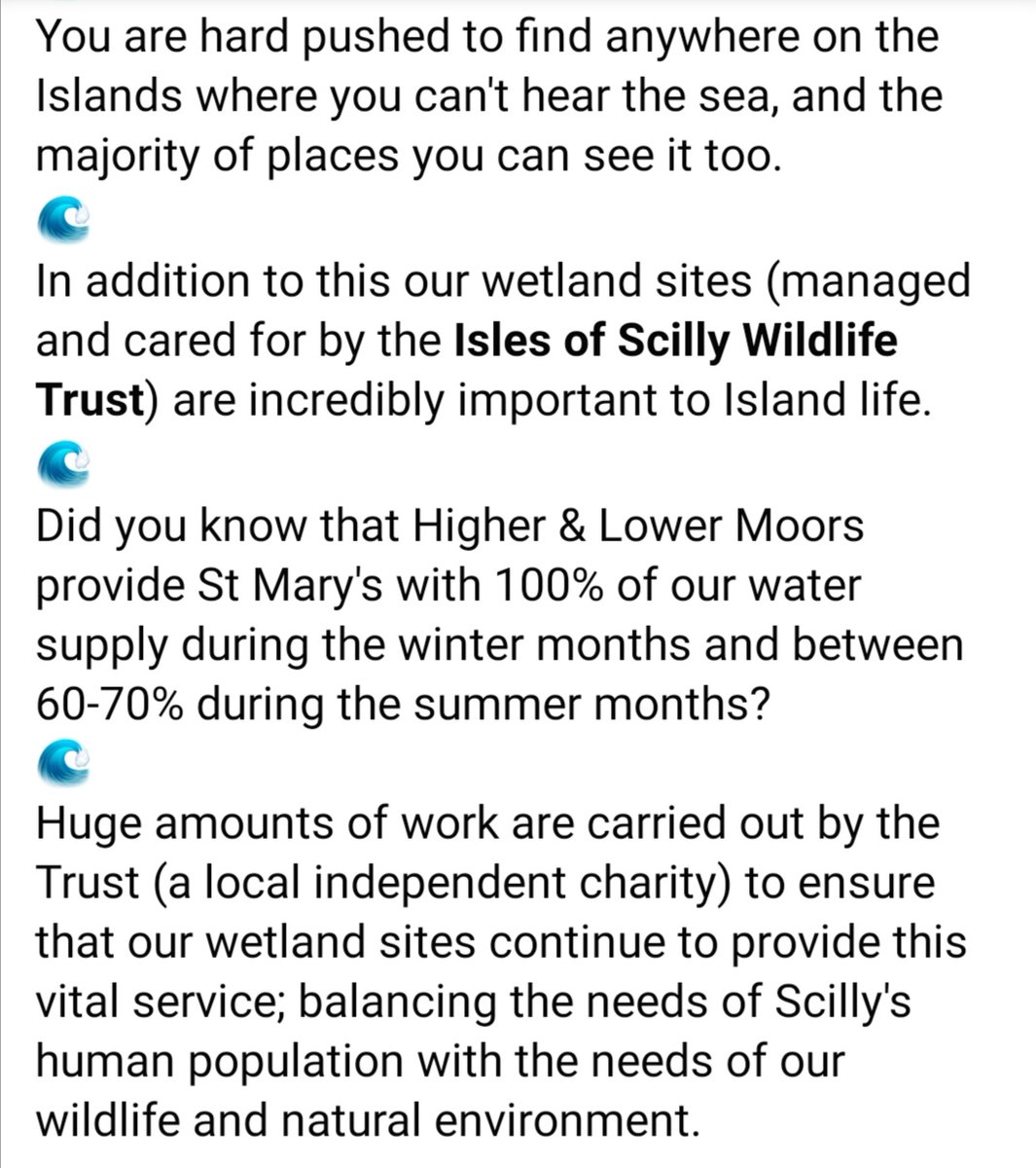 ScillyNL's tweet photo. Today's #L4L theme is #DownByTheWater (which #Scilly pretty much has nailed!)
👌
Whether it's the tranquil summer blues or barreling Autumn storms we do it &amp; we do it with style!?
💦
But don't be glamoured by the sea &amp; forget our Wetland sites!
➡️https://t.co/Z6JFZEvkuH https://t.co/j6j6p9bInk
