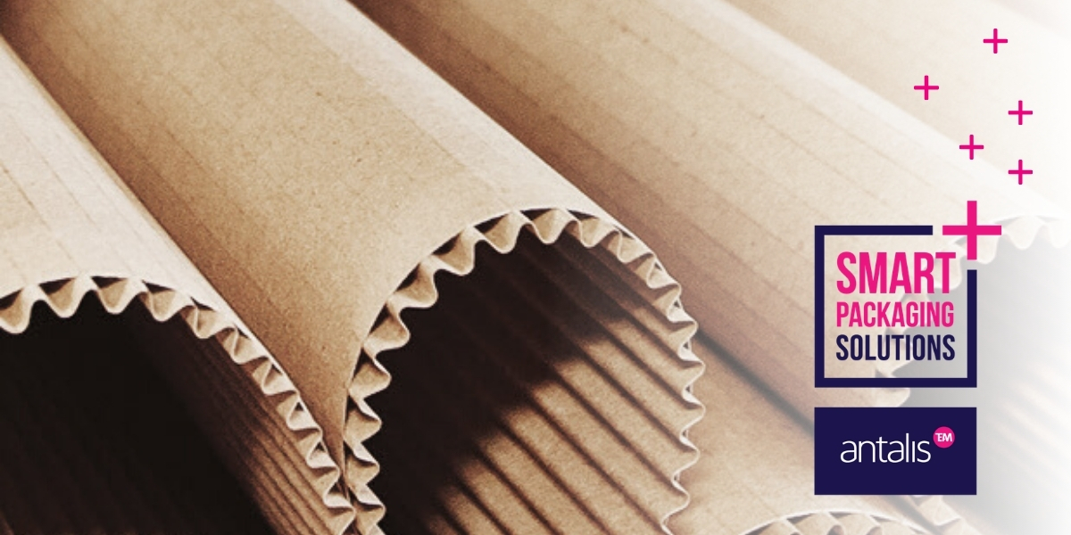 Verpakken met milieuvriendelijke producten? Dat kan! Antalis heeft, om dit zo makkelijk mogelijk te maken, een brochure ontwikkeld met een overzicht van alle 'groene' keuzes die u kunt maken. Lees verder: ow.ly/cm6K50BxzGl