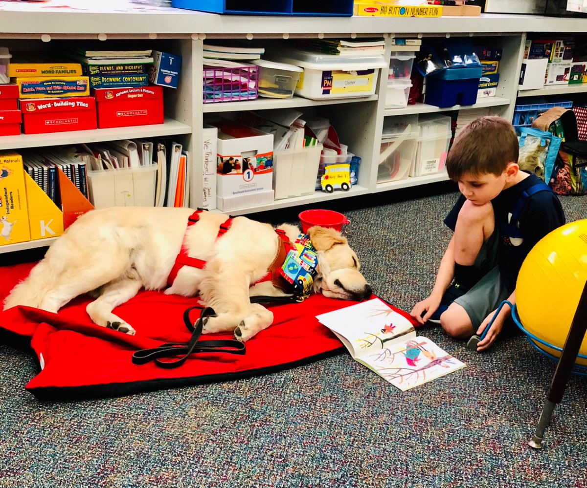 PriscillaPosts's tweet photo. You won't want to miss this: This morning on @abc27News, we introduce you to Jordan Woodruff &amp; his #servicedog Vargas! Jordan has autism. Vargas is trained to keep him from running away &amp; track him in case he does. But the impact Vargas makes goes far beyond that...tune in! https://t.co/ZVWXTMZ26t