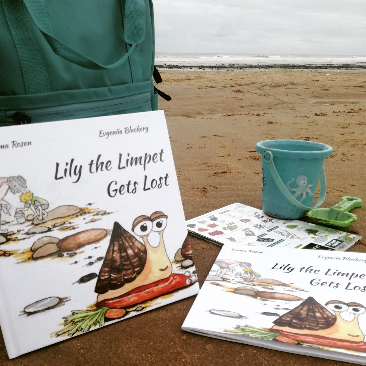 EmmaRosenBooks's tweet image. Today the hardback edition of Lily the Limpet Gets Lost has come out! 🌊🐚📘 Thank you to everyone who&apos;s pre-ordered, I hope you love it! It&apos;s available in all the usual places x 

#lilythelimpetgetslost #hardback #ingramsparkauthor #beachkids #indiebooksbeseen