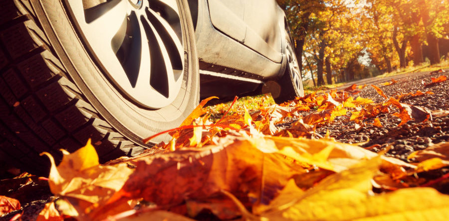 Happy 1st Day of Autumn! Autumn’s not just about blackberries and fiery leaves, it brings changes to the roads, too. Check out this guide to stay one step ahead of the seasonal switch in driving conditions. #AutumnDriving theaa.com/driving-advice…