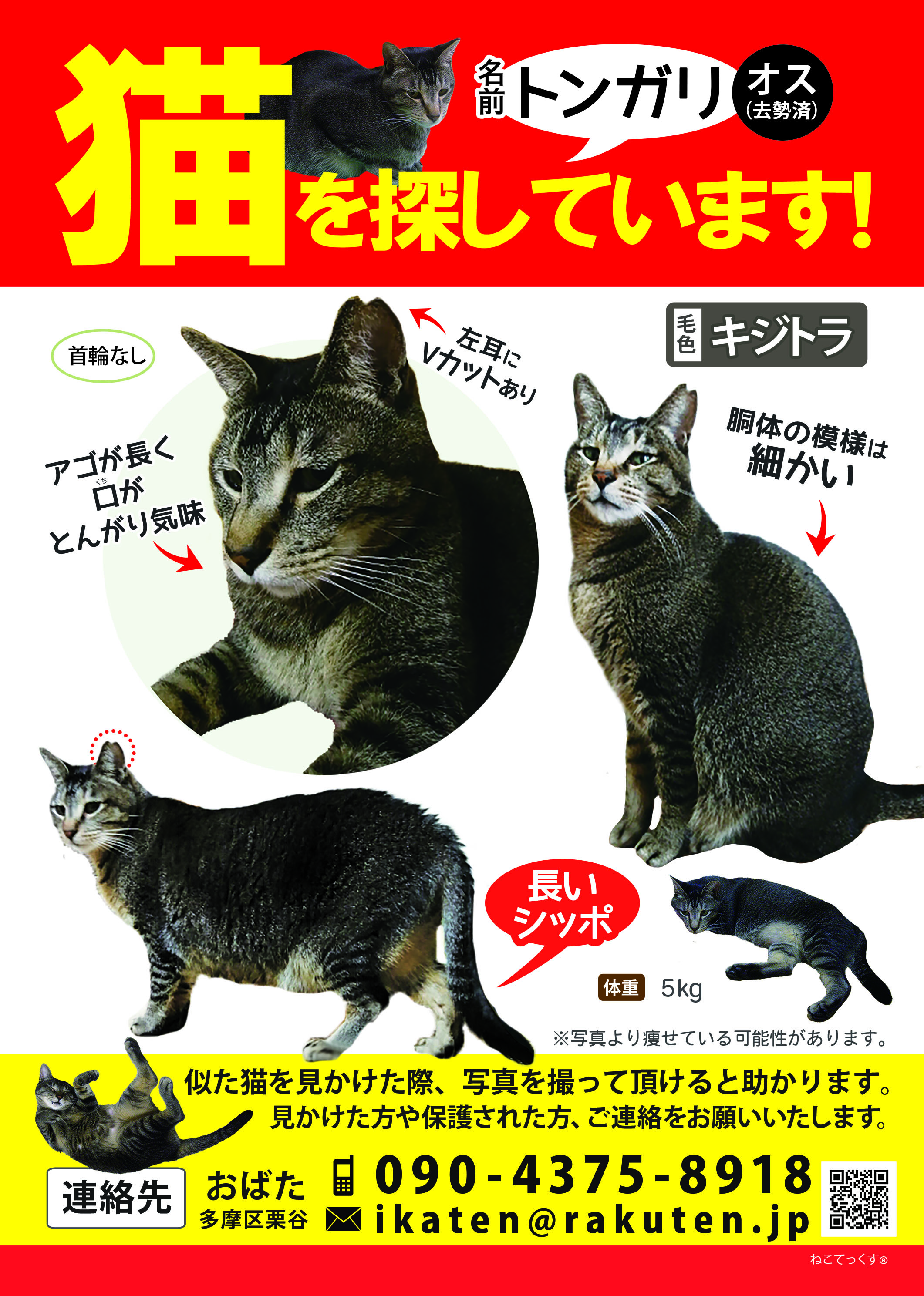 ねここ Aromerocat Twitter