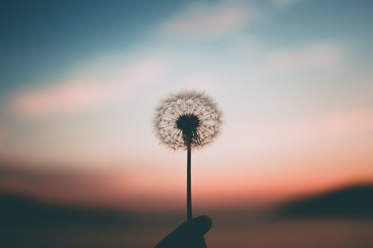 StrathclydeAFA's tweet photo. 'A Mind for the Future' - Join this class 4-week class via Zoom and engage in exploring the mindset to achieve the things you want! Ask questions, weigh the pro and cons and reflect on action. Book now at https://t.co/2oltoW5s2N
#healthyageing #postitivemindset #onlinelearning https://t.co/GZZQVGq4nH