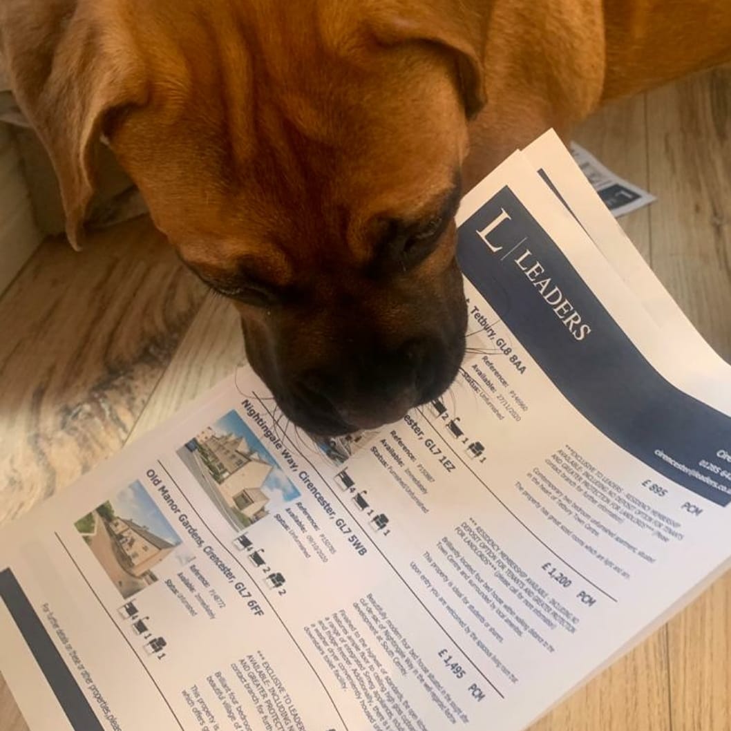 Helping my mum work from home!!
🤔 What interesting properties do we have available today 🤔 
ahh....🐕🐈 there are pet friendly properties available!!🐕🐈
☎️call the office now... to avoid disappointment ☎️ or 📧 email us at cirencester@leaders.co.uk 📧
 #property #petfriendly