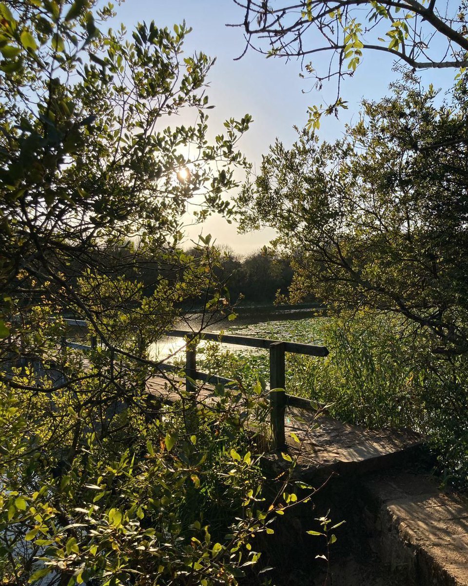 If anyone was wondering what Pembrokeshire is like in September...🌿 🌾 ✨ 
<a href="/VisitPembs/">Visit Pembrokeshire 🏴󠁧󠁢󠁷󠁬󠁳󠁿</a> <a href="/visitwales/">Visit Wales 🏴󠁧󠁢󠁷󠁬󠁳󠁿</a> #Pembrokeshire #wales