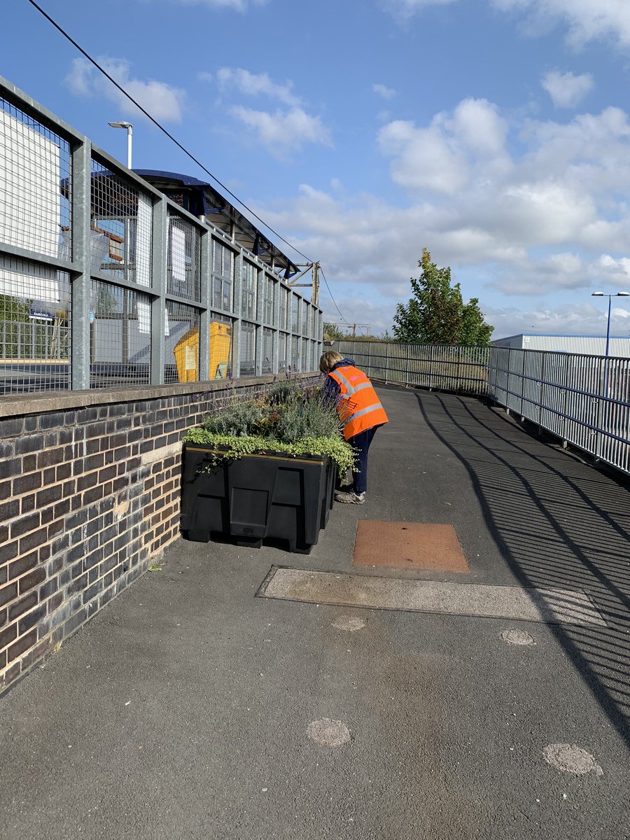FOMRS1's tweet photo. Great to be back tidying and looking after the planting at the station. https://t.co/R7PQkWivsa