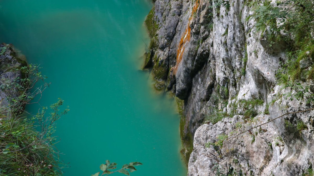 Luca Vivan tweet media