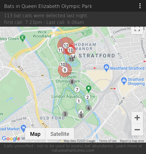 113 bat calls were detected last night, 21-09-2020.
