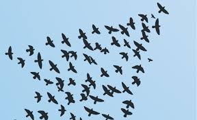 Do you wish to progress to Senior Leadership? Join our new programme, 'Moving into Senior Leadership,' starting 10th Nov.  Define your leadership style, establish your vision, communicate effectively and prepare for interview. More info &amp; bookings here: 
albantsa.co.uk/course/moving-…