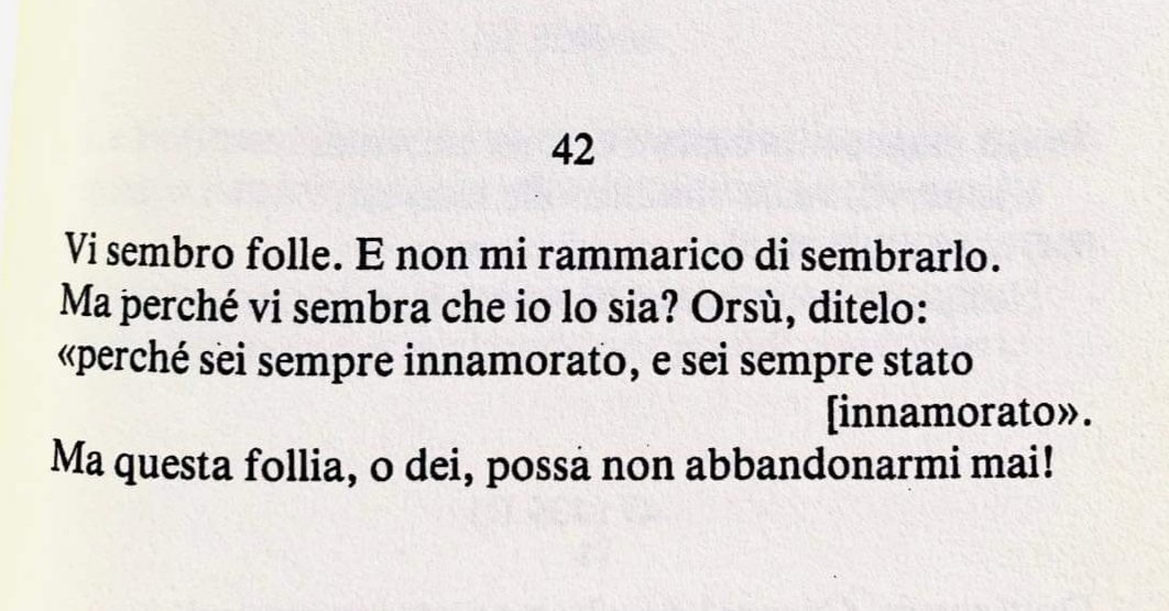 #Seneca #Epigrammi #latinismoak #amor #amore #frasesdeamor #FraseDelDía #perle #letteratura #Italy #Italia #romantic #Roma #Roman #RomanEmpire