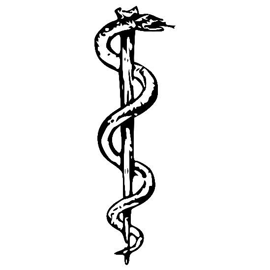symbols_ancient's tweet photo. Rod of Asclepius - The serpent wrapped around the rod belonged to the Greek God Asclepius, associated with healing/medicine. Moses possessed a staff that could change into a snake, as did the The High Priests of Ancient Egypt #moses #ancientegypt #god #bible #ancientgreece https://t.co/1oH5RMNYqR