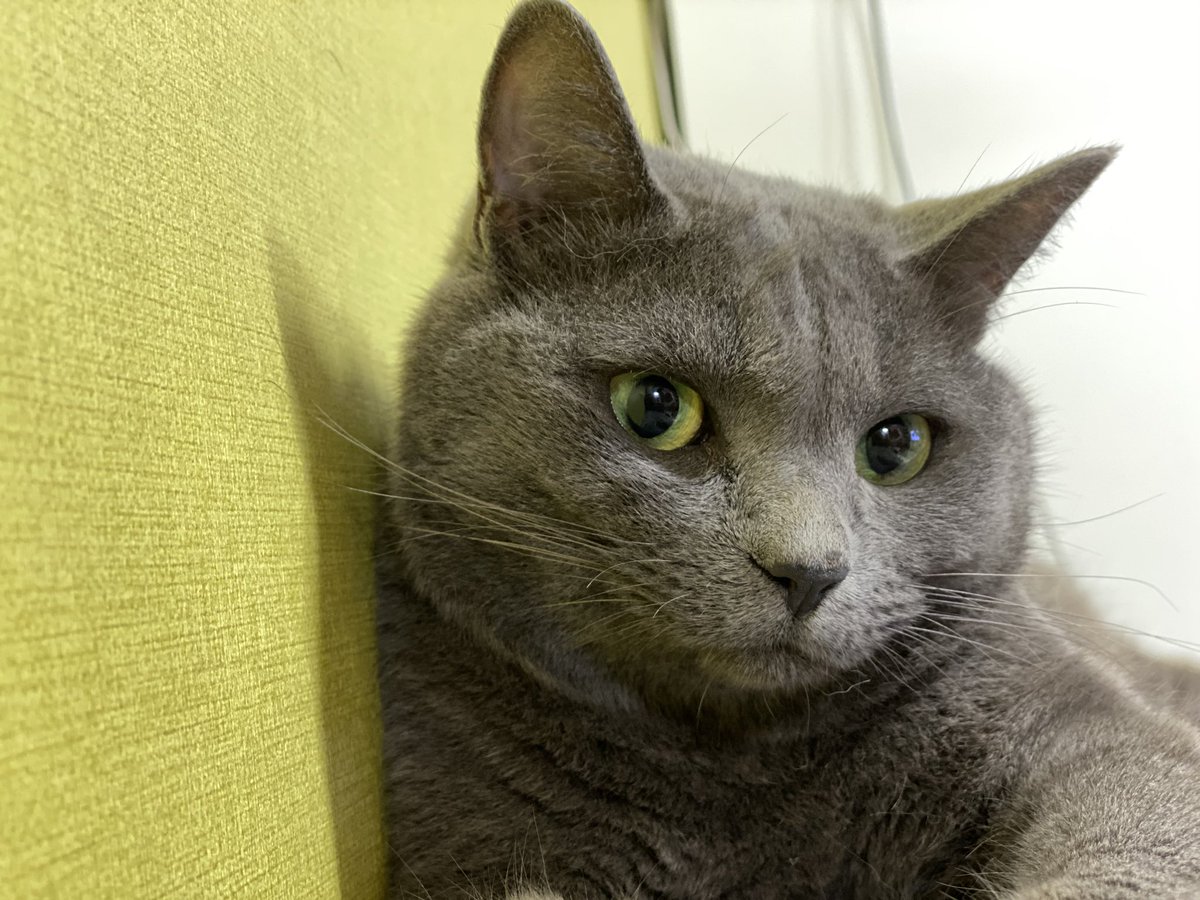 feelcom's tweet image. 우리 이쁜 딸. 이딸기.