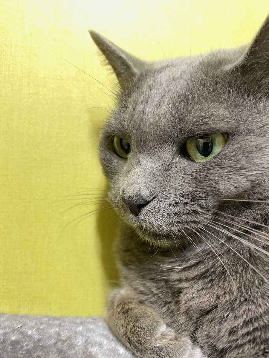 feelcom's tweet image. 우리 이쁜 딸. 이딸기.