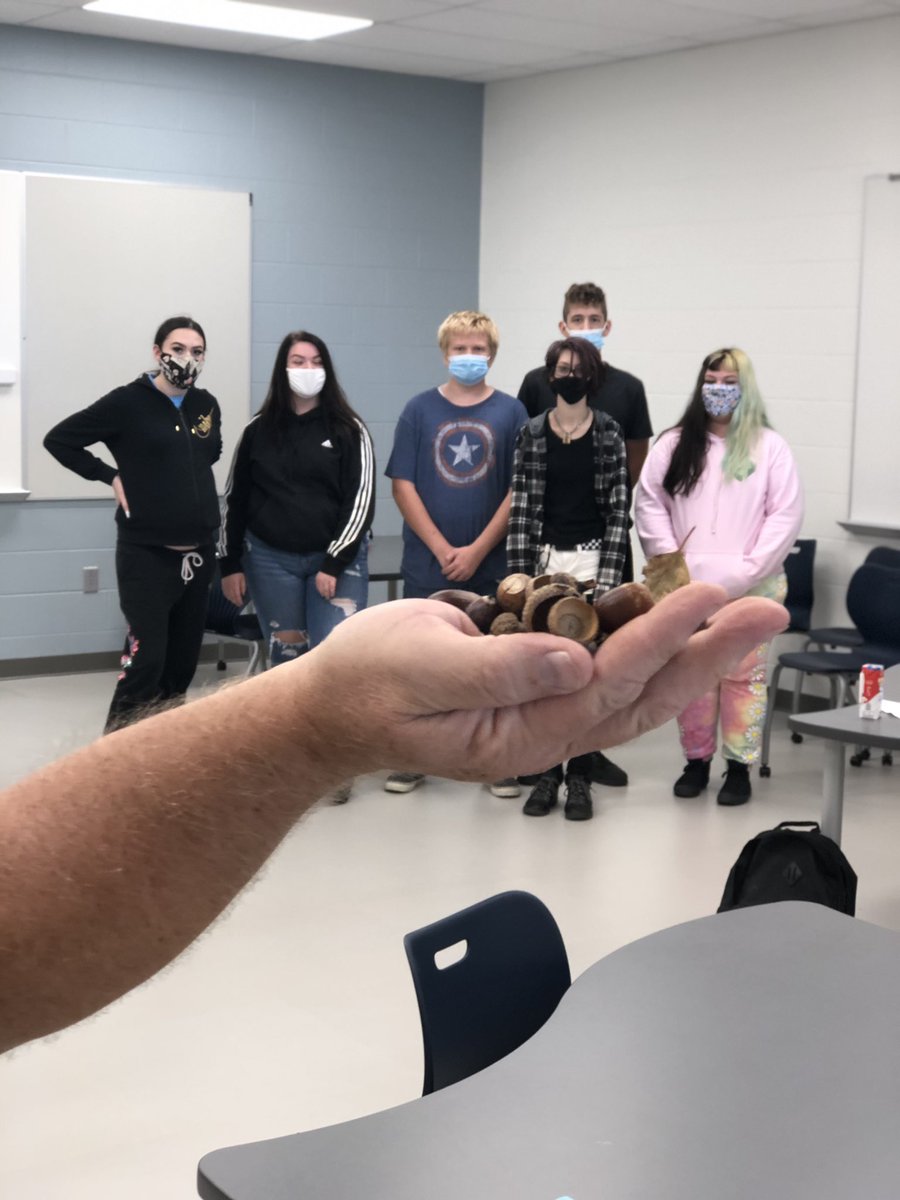 ChristineFine7's tweet photo. When KAP students heard Mr Renshaw needed nuts our Science  teacher , Robb Fogg knew just where to look.#happyhunting#❤️ https://t.co/P7icTWgFEn