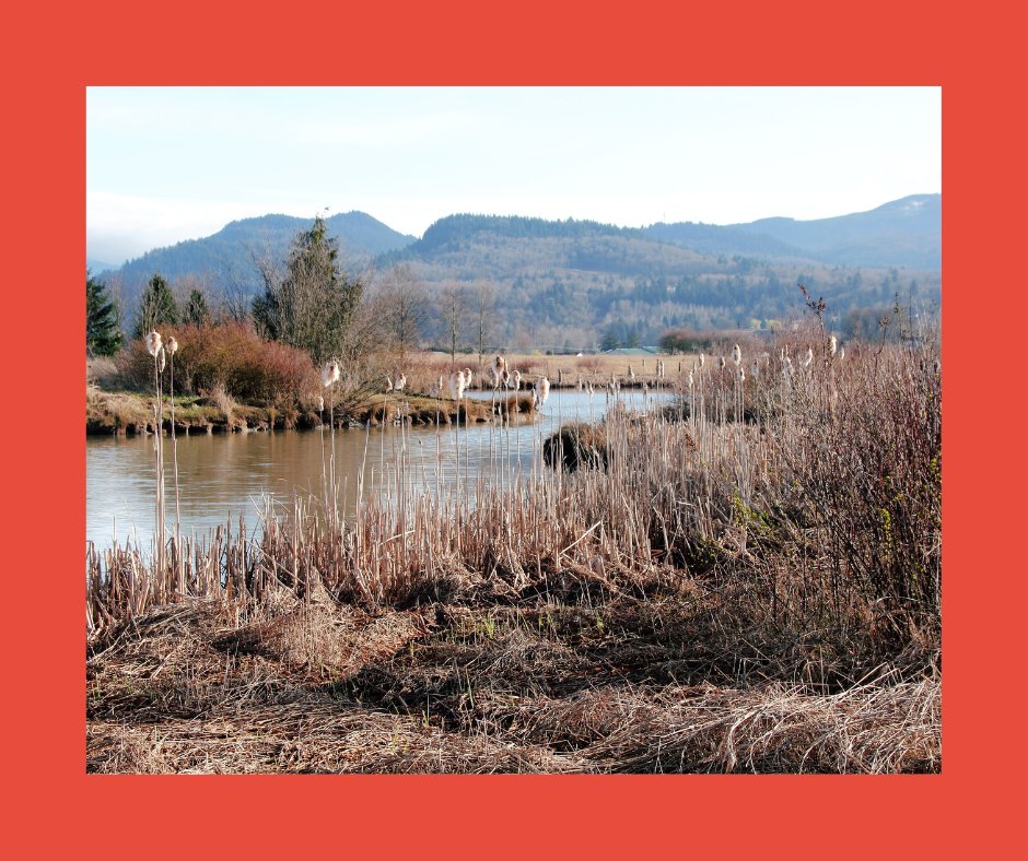 PracticalAnswer's tweet image. #Climatechange magnifies the existing risks & #vulnerabilities associated with #disasters. Read the case study on demonstrating evidence on Ecosystem-based Adaptation in #LatinAmerica and the #Caribbean.
bit.ly/2RMEu3h