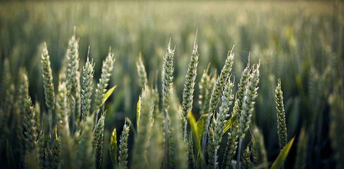 Zevillage's tweet image. Le Coronavirus va-t-il repeupler les campagnes ? Exemples de l&apos;Orne et du Québec zevillage.net/campagnes/le-c… cc @Vitolae @ornedepartement @Nicolas_Colin @daedalium @progressisge @jlconnan @jlcassely #ruralite