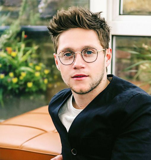 The two versions of Niall Horan: A thread. 