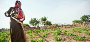 Displaced woman raped, killed in Central #Darfur, #Sudan, #SudanNews https://t.co/wTjcjpLiXW https://t.co/dD7NEBoHpA